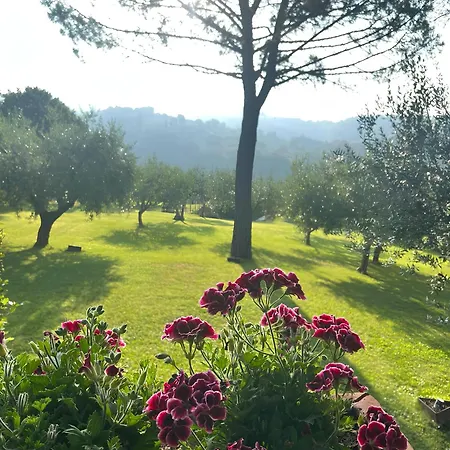 Santa Maria Degli Ancillotti Petrignano