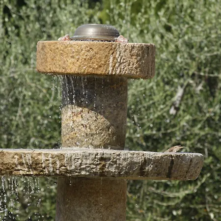 Santa Maria Degli Ancillotti Casa rural